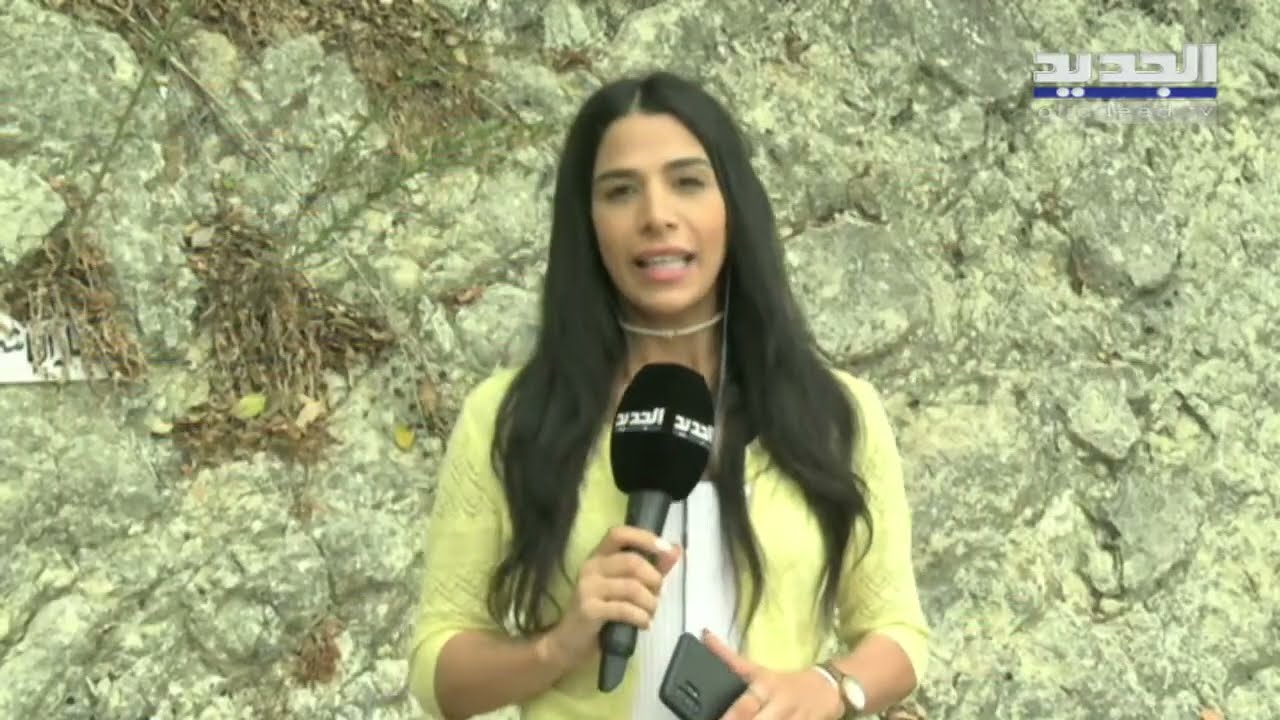 اكتشاف آثار أقدام ديناصورات في بلدة غوسطا قضاء كسروان