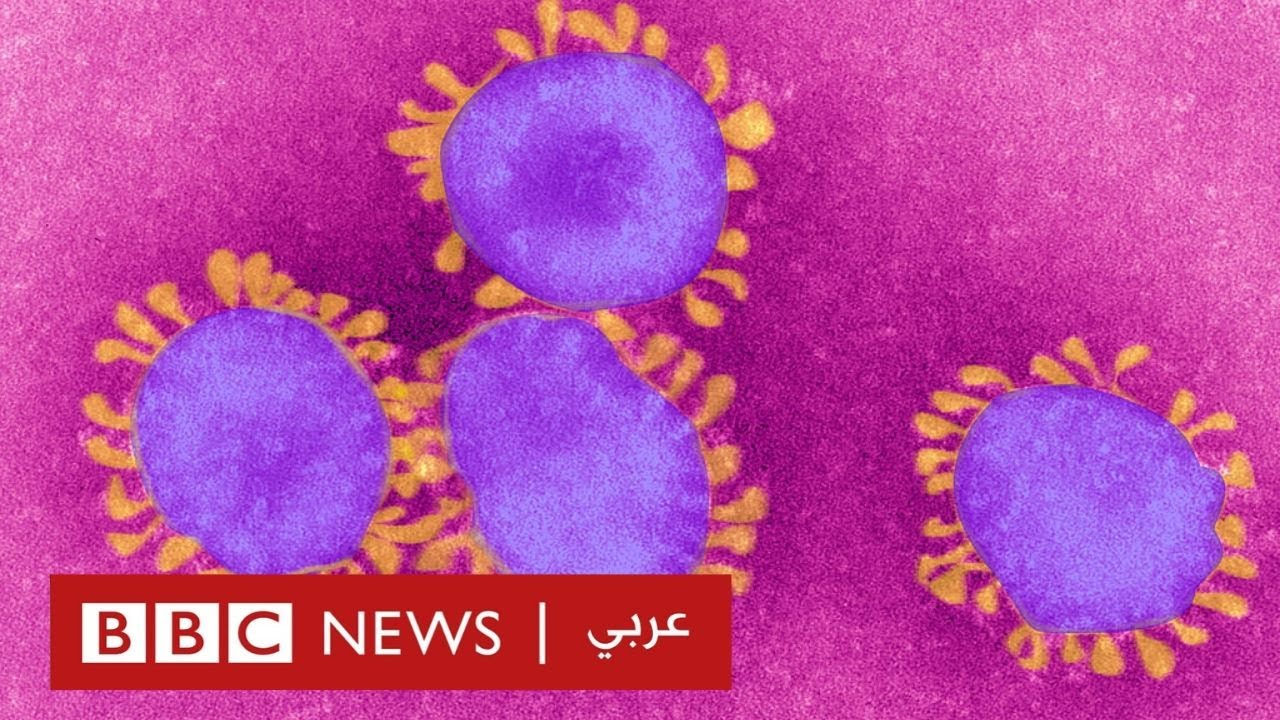 فيروس كورونا:  ما هي أعراضه وكيف تحمي نفسك؟