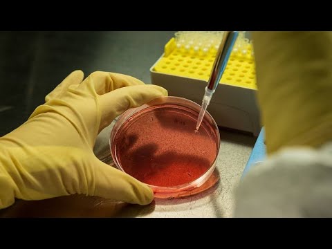 هل ينقذ كوفيد البشرية من السرطان؟ تجارب على علاج جديد مستوحى من لقاح كورونا