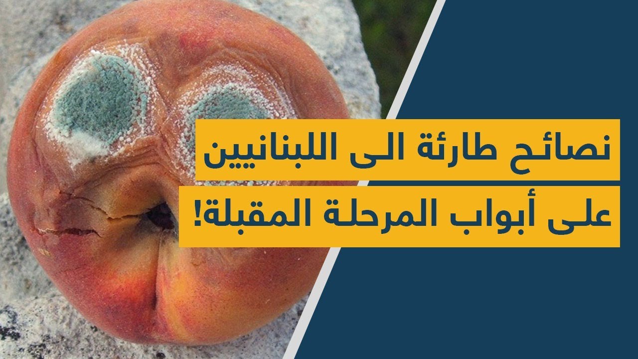 نصائح طارئة وثمينة الى اللبنانيين بخصوص موجة "العفن" الكهربائية بعد أيام!