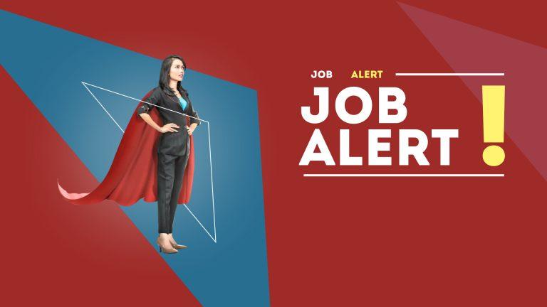 Job Alert 1 768x432